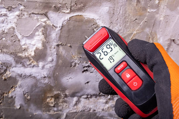 Best Toxic Mold Removal  in Hohenwald, TN