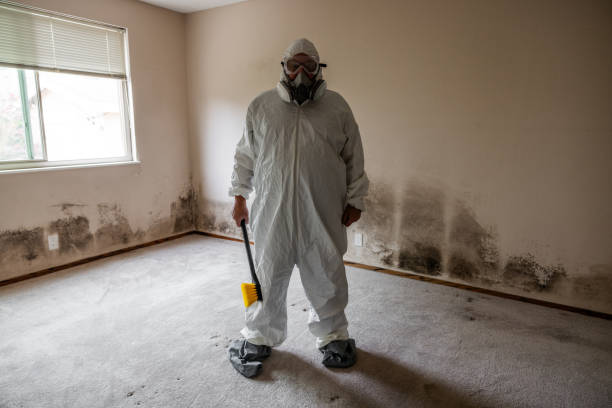 Best Mold Cleaning Services  in Hohenwald, TN